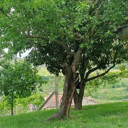 Casa Caminho Da Ponte Monção