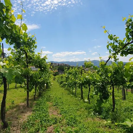 Casa Caminho Da Ponte