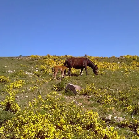 Δωμάτια σε οικογενειακή κατοικία Casa Caminho Da Ponte *