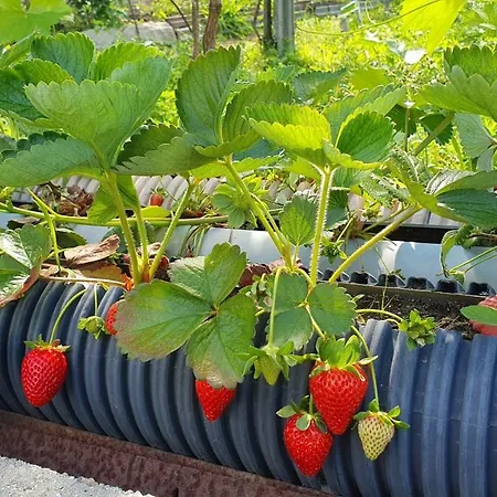Quarto em Acomodações Particulares Casa Caminho Da Ponte Monção