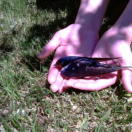 Casa Caminho Da Ponte * Monção