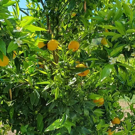 Casa Caminho Da Ponte *