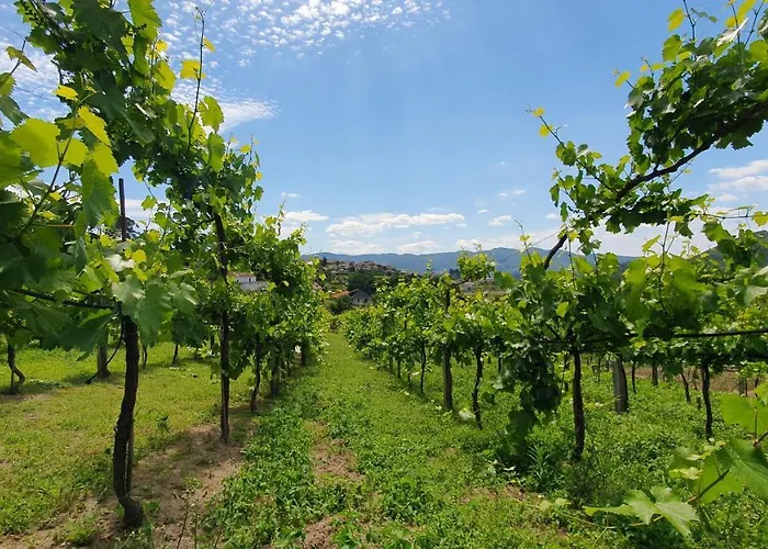 Casa Caminho Da Ponte