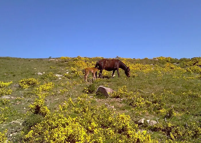 民宿 Casa Caminho Da Ponte *