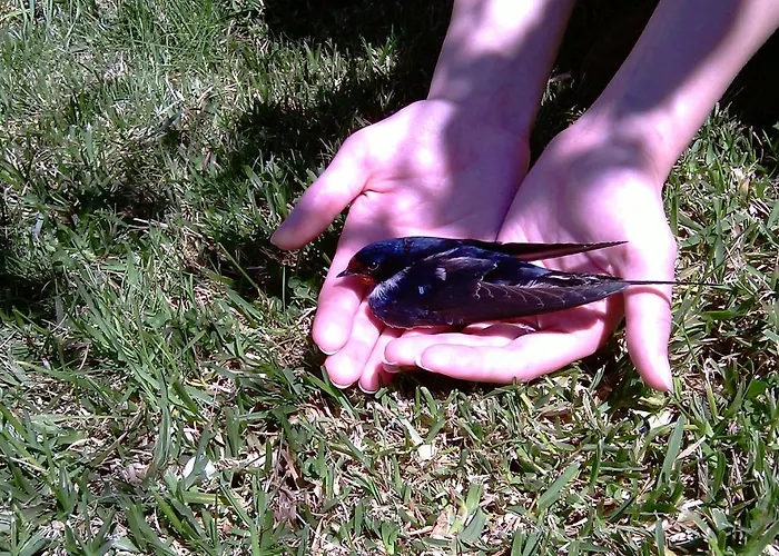 Casa Caminho Da Ponte * Monção