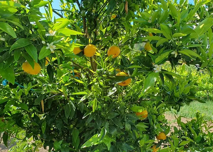 Casa Caminho Da Ponte *